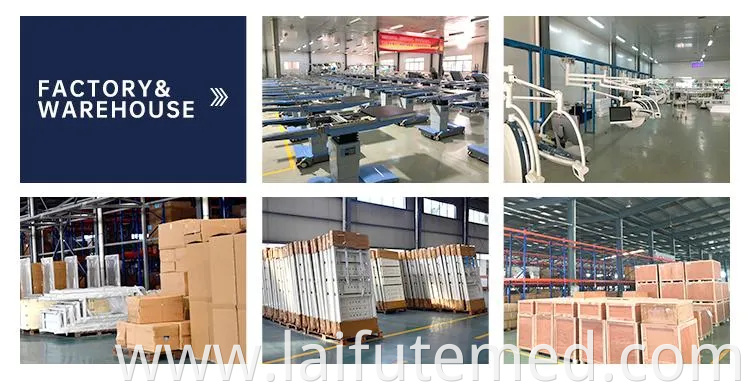 New Design Veterinary Dental Equipment Unit Chair with Scaler and Compressor